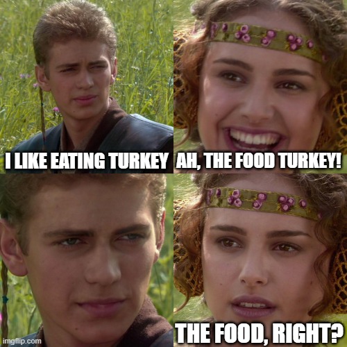 Anakin Padme 4 Panel | I LIKE EATING TURKEY AH, THE FOOD TURKEY! THE FOOD, RIGHT? | image tagged in anakin padme 4 panel | made w/ Imgflip meme maker