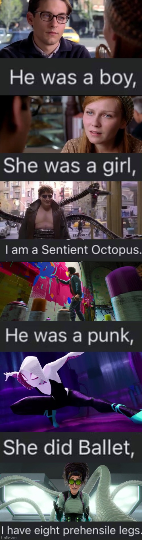 He Was a Spider Boy | image tagged in spider man,sentient octopus | made w/ Imgflip meme maker