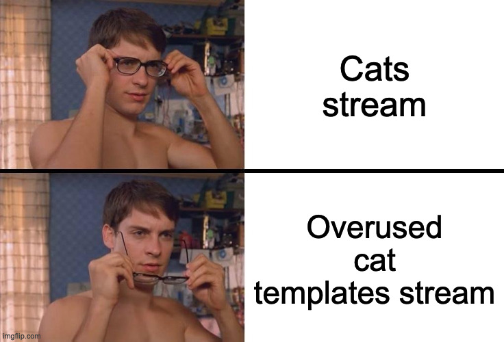 Hi | Cats stream; Overused cat templates stream | image tagged in peter parker glasses fixed | made w/ Imgflip meme maker