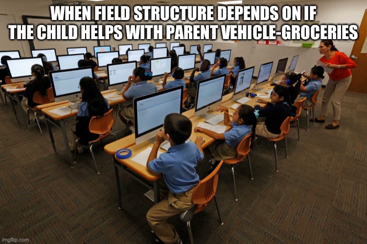 Quantum Field Theory | WHEN FIELD STRUCTURE DEPENDS ON IF THE CHILD HELPS WITH PARENT VEHICLE-GROCERIES | image tagged in quantum physics,classical mechanics | made w/ Imgflip meme maker