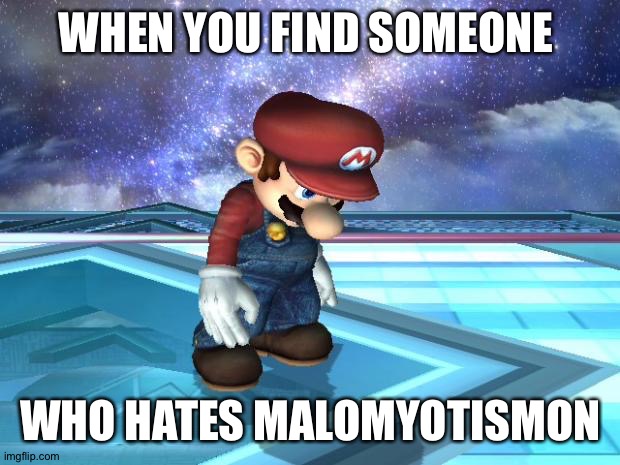 Depressed Mario | WHEN YOU FIND SOMEONE; WHO HATES MALOMYOTISMON | image tagged in depressed mario | made w/ Imgflip meme maker