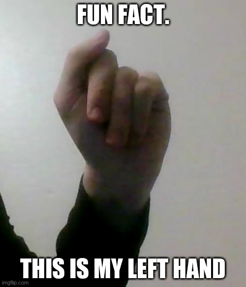 notice anything? | FUN FACT. THIS IS MY LEFT HAND | made w/ Imgflip meme maker