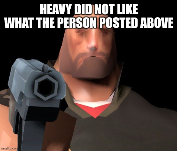 hoovy gun | HEAVY DID NOT LIKE WHAT THE PERSON POSTED ABOVE | image tagged in hoovy gun | made w/ Imgflip meme maker