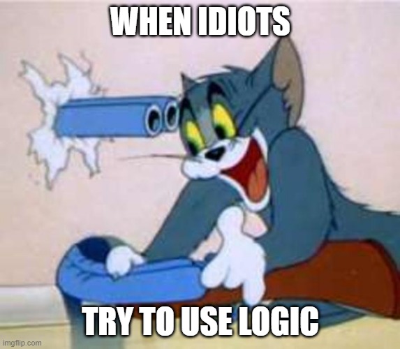 tom the cat shooting himself  | WHEN IDIOTS; TRY TO USE LOGIC | image tagged in tom the cat shooting himself | made w/ Imgflip meme maker