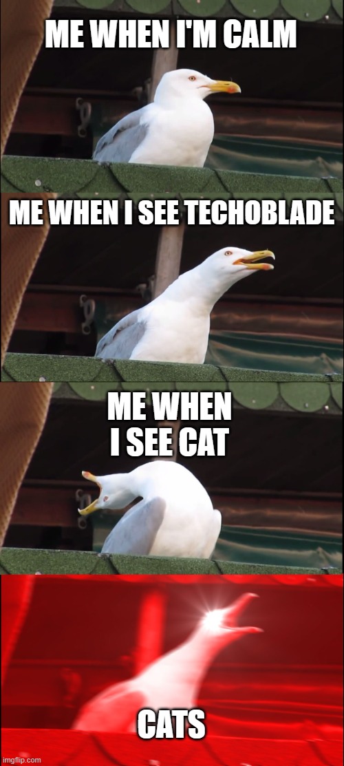 When i see a cat | ME WHEN I'M CALM; ME WHEN I SEE TECHOBLADE; ME WHEN I SEE CAT; CATS | image tagged in memes,inhaling seagull | made w/ Imgflip meme maker