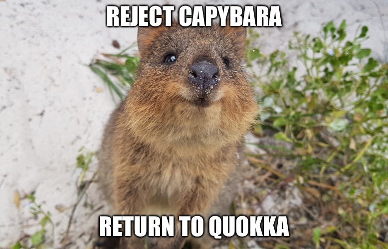 Capybaras are still pog though. | REJECT CAPYBARA; RETURN TO QUOKKA | made w/ Imgflip meme maker