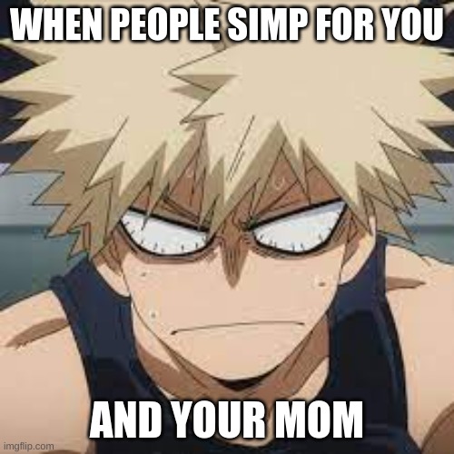 That moment when the fandom simps for you and your mom | WHEN PEOPLE SIMP FOR YOU; AND YOUR MOM | image tagged in bnha,bakugo,mha,boku no hero academia,my hero academia | made w/ Imgflip meme maker