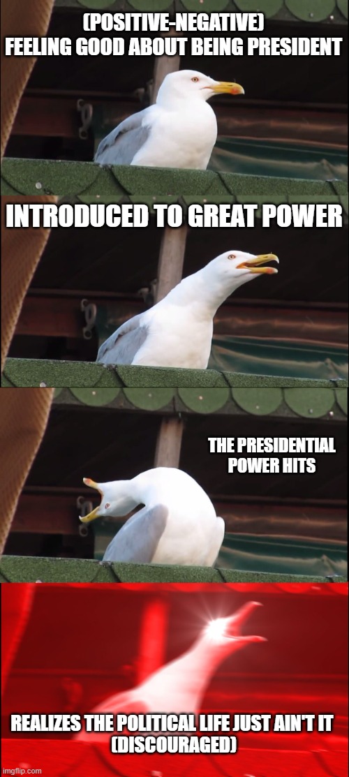 Inhaling Seagull | (POSITIVE-NEGATIVE)
FEELING GOOD ABOUT BEING PRESIDENT; INTRODUCED TO GREAT POWER; THE PRESIDENTIAL POWER HITS; REALIZES THE POLITICAL LIFE JUST AIN'T IT 
(DISCOURAGED) | image tagged in memes,inhaling seagull | made w/ Imgflip meme maker
