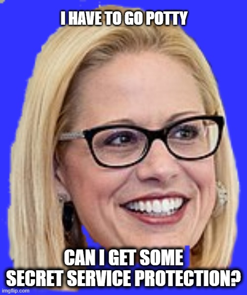 Kyrsten Sinema | I HAVE TO GO POTTY; CAN I GET SOME SECRET SERVICE PROTECTION? | image tagged in kyrsten sinema | made w/ Imgflip meme maker
