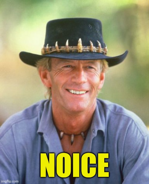 Noice! | NOICE | image tagged in noice | made w/ Imgflip meme maker