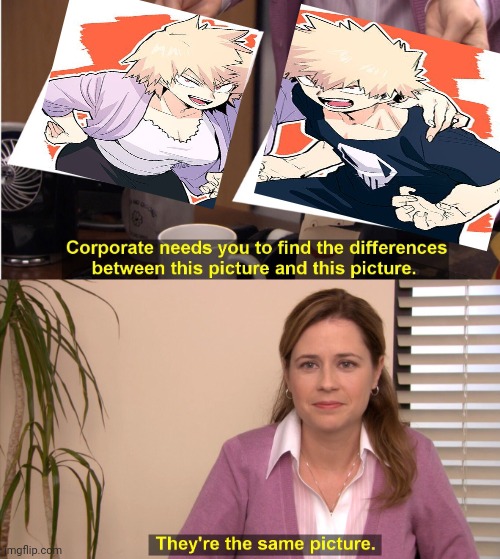 Bakugou and his mom | image tagged in memes,they're the same picture,bakugo,moms,mha | made w/ Imgflip meme maker