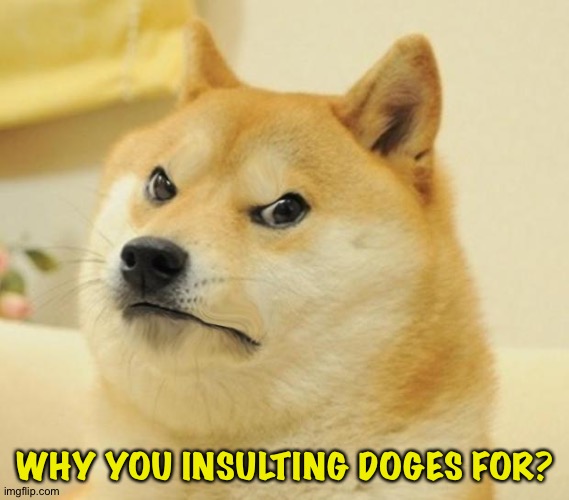 Mad doge | WHY YOU INSULTING DOGES FOR? | image tagged in mad doge | made w/ Imgflip meme maker