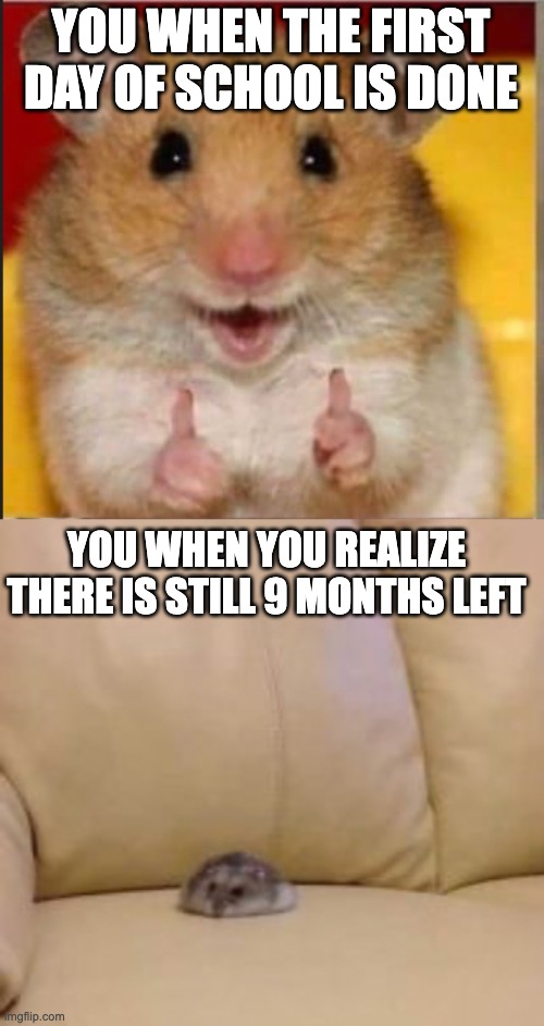 school |  YOU WHEN THE FIRST DAY OF SCHOOL IS DONE; YOU WHEN YOU REALIZE THERE IS STILL 9 MONTHS LEFT | image tagged in hamster | made w/ Imgflip meme maker