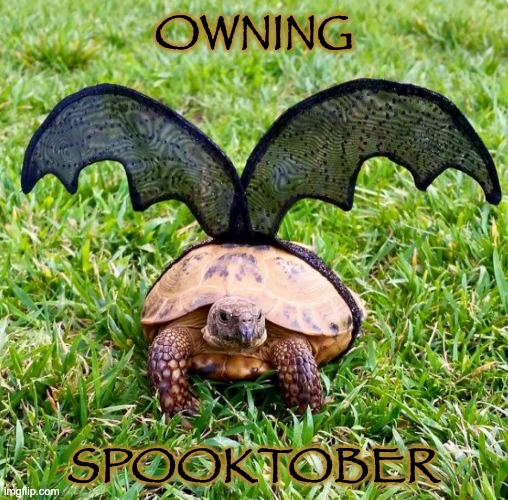 No sneeze style |  OWNING; SPOOKTOBER | image tagged in bat turtle,costume,spooktober,turtle,cute | made w/ Imgflip meme maker