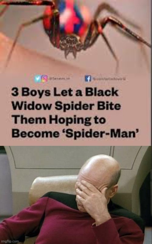 Twas an interesting idea | image tagged in captain picard facepalm,do you are have stupid,spiderman,stupid,funny,black widow | made w/ Imgflip meme maker