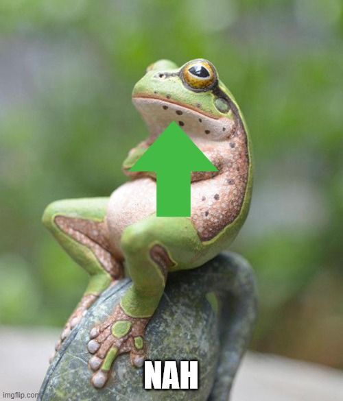 nah frog | NAH | image tagged in nah frog | made w/ Imgflip meme maker