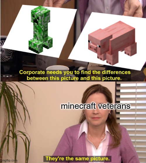 veterans be like |  minecraft veterans | image tagged in memes,they're the same picture,minecraft | made w/ Imgflip meme maker