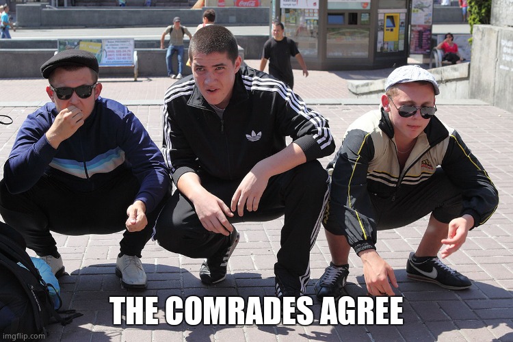 gopniks | THE COMRADES AGREE | image tagged in gopniks | made w/ Imgflip meme maker