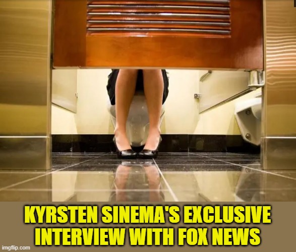 BREAKING HER SILENCE.... | KYRSTEN SINEMA'S EXCLUSIVE INTERVIEW WITH FOX NEWS | image tagged in fox news,senators,voters,bathroom stall | made w/ Imgflip meme maker