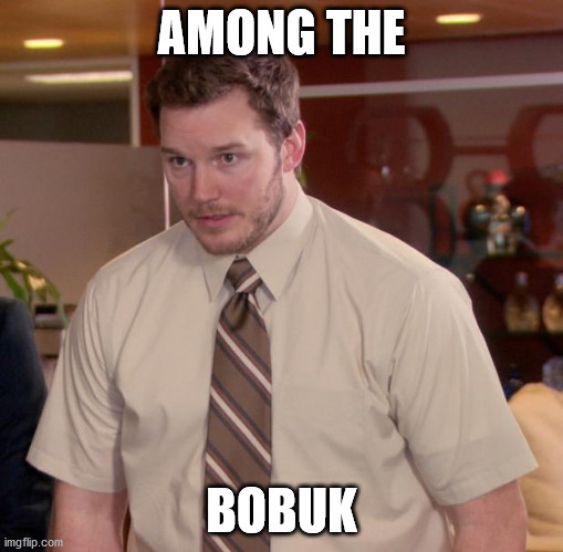 seurgftys837wvr4tbe9v4 | AMONG THE; BOBUK | image tagged in memes,afraid to ask andy | made w/ Imgflip meme maker