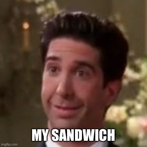Ross Geller Friends | MY SANDWICH | image tagged in ross geller friends | made w/ Imgflip meme maker