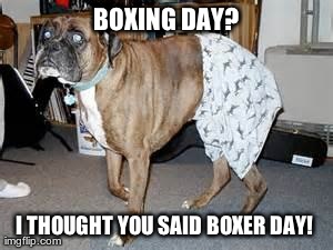 BOXING DAY? I THOUGHT YOU SAID BOXER DAY! | image tagged in funny,dogs | made w/ Imgflip meme maker