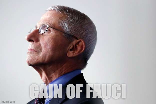 fauci snub | GAIN OF FAUCI | image tagged in fauci snub | made w/ Imgflip meme maker