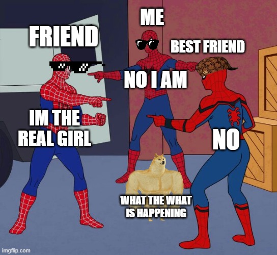 Spider Man Triple | ME; FRIEND; BEST FRIEND; NO I AM; IM THE REAL GIRL; NO; WHAT THE WHAT IS HAPPENING | image tagged in spider man triple | made w/ Imgflip meme maker