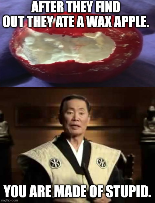 AFTER THEY FIND OUT THEY ATE A WAX APPLE. YOU ARE MADE OF STUPID. | image tagged in george takei,you are made of stupid | made w/ Imgflip meme maker