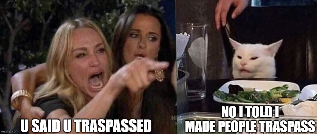 woman yelling at cat |  U SAID U TRASPASSED; NO I TOLD I MADE PEOPLE TRASPASS | image tagged in woman yelling at cat | made w/ Imgflip meme maker