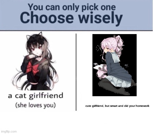 Choose wisely | cute girlfriend, but smart and did your homework | image tagged in choose wisely | made w/ Imgflip meme maker