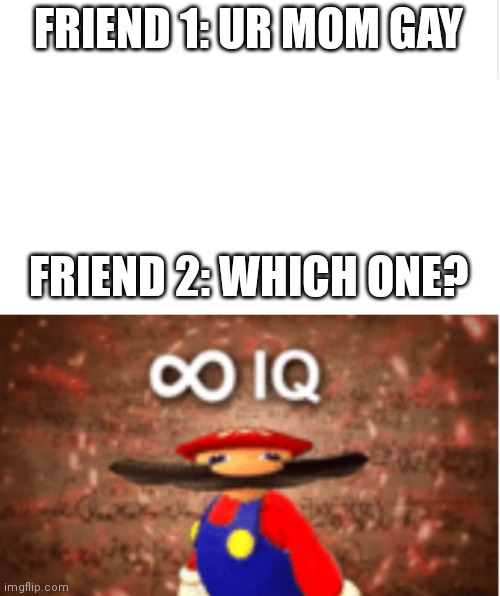 FRIEND 1: UR MOM GAY; FRIEND 2: WHICH ONE? | image tagged in blank meme template,infinite iq | made w/ Imgflip meme maker