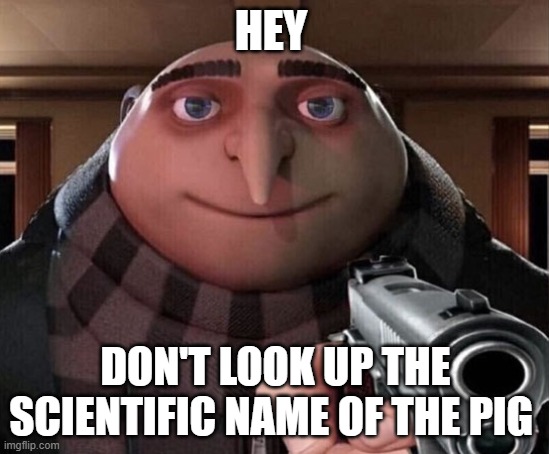 don't | HEY; DON'T LOOK UP THE SCIENTIFIC NAME OF THE PIG | image tagged in gru gun | made w/ Imgflip meme maker