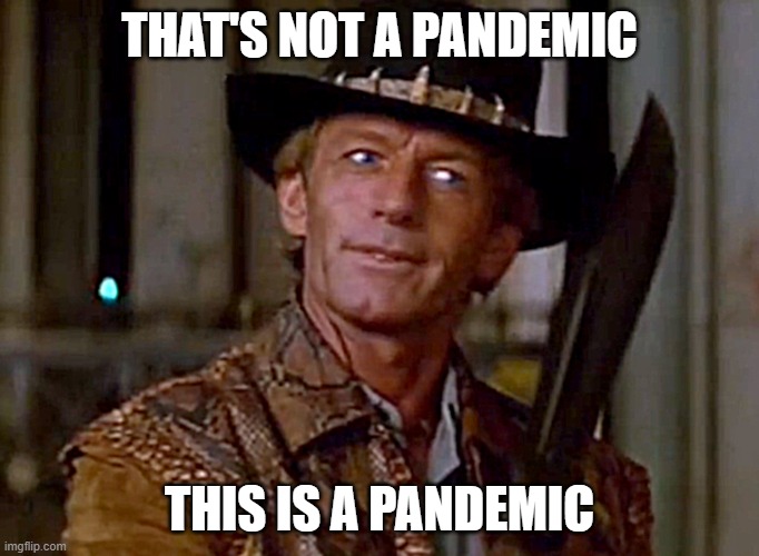 Crocodile Dundee Knife | THAT'S NOT A PANDEMIC; THIS IS A PANDEMIC | image tagged in crocodile dundee knife | made w/ Imgflip meme maker