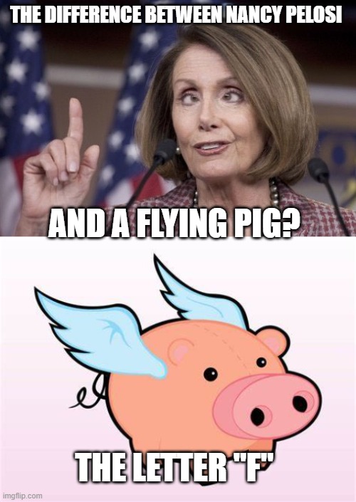 lying pig | THE DIFFERENCE BETWEEN NANCY PELOSI; AND A FLYING PIG? THE LETTER "F" | image tagged in nancy pelosi | made w/ Imgflip meme maker