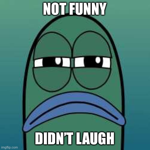 not funny | NOT FUNNY DIDN’T LAUGH | image tagged in not funny | made w/ Imgflip meme maker