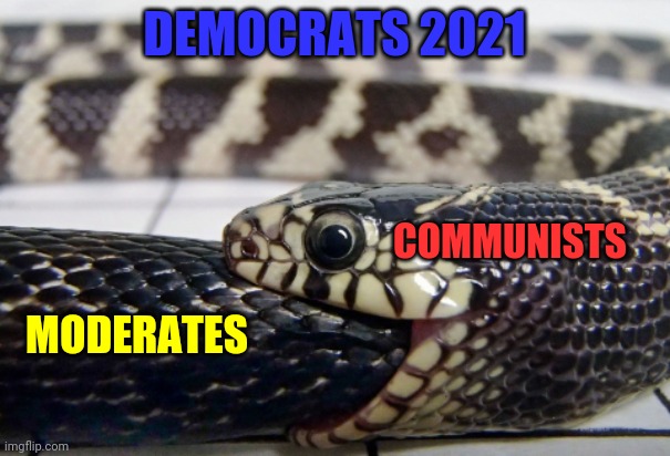DEMOCRATS 2021; COMMUNISTS; MODERATES | made w/ Imgflip meme maker