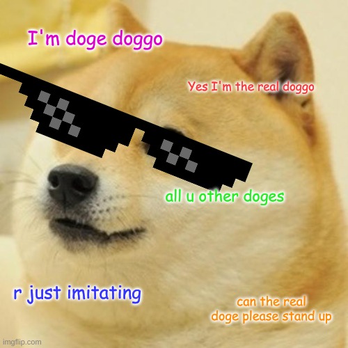slim doge | I'm doge doggo; Yes I'm the real doggo; all u other doges; r just imitating; can the real doge please stand up | image tagged in memes,doge,slim shady | made w/ Imgflip meme maker