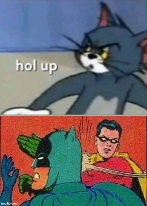 image tagged in hol up,robin slaps batman | made w/ Imgflip meme maker