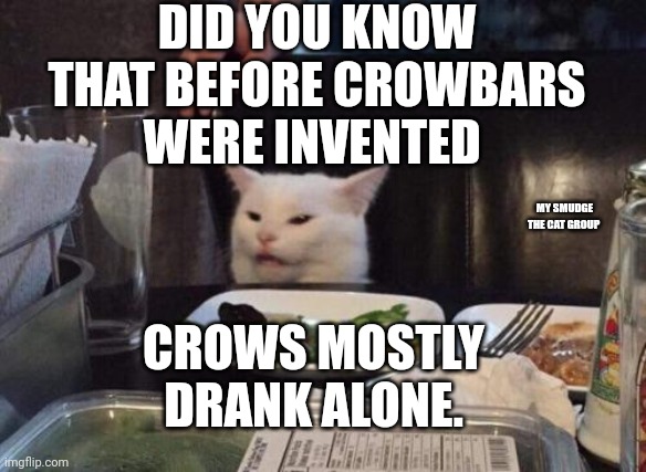 Salad cat | DID YOU KNOW THAT BEFORE CROWBARS WERE INVENTED; MY SMUDGE THE CAT GROUP; CROWS MOSTLY DRANK ALONE. | image tagged in salad cat | made w/ Imgflip meme maker