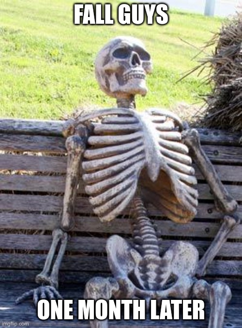 Waiting Skeleton Meme |  FALL GUYS; ONE MONTH LATER | image tagged in memes,waiting skeleton | made w/ Imgflip meme maker