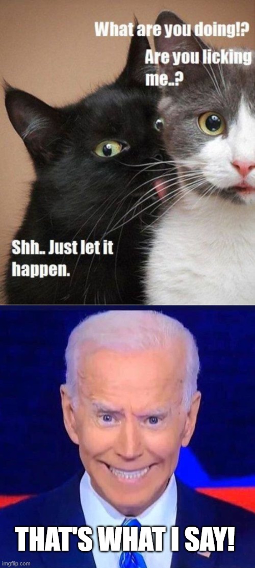 THAT'S WHAT I SAY! | image tagged in creepy smiling joe biden | made w/ Imgflip meme maker