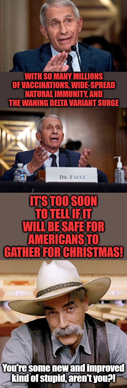 Why would anyone listen to Fauci anymore?! | WITH SO MANY MILLIONS OF VACCINATIONS, WIDE-SPREAD NATURAL IMMUNITY, AND THE WANING DELTA VARIANT SURGE; IT'S TOO SOON TO TELL IF IT WILL BE SAFE FOR AMERICANS TO GATHER FOR CHRISTMAS! You're some new and improved kind of stupid, aren't you?! | image tagged in sarcasm cowboy,fauci,covid-19,coronavirus,christmas,memes | made w/ Imgflip meme maker