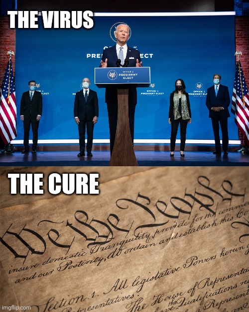 It's up to the people and no one else. | THE VIRUS; THE CURE | image tagged in memes | made w/ Imgflip meme maker