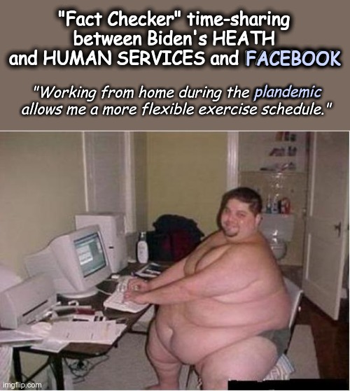 Typical Troll Fact Checker | "Fact Checker" time-sharing between Biden's HEATH and HUMAN SERVICES and FACEBOOK; FACEBOOK; "Working from home during the plandemic allows me a more flexible exercise schedule."; plandemic | image tagged in really fat guy on computer,hhs,facebook | made w/ Imgflip meme maker