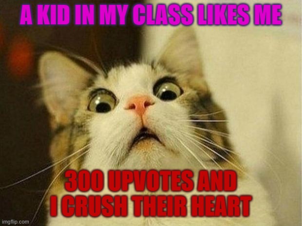 Scared Cat | A KID IN MY CLASS LIKES ME; 300 UPVOTES AND I CRUSH THEIR HEART | image tagged in memes,scared cat | made w/ Imgflip meme maker