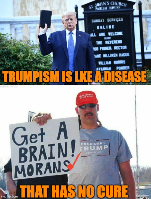 TRUMPISM IS LKE A DISEASE; THAT HAS NO CURE | image tagged in trumpism,trump supporter | made w/ Imgflip meme maker