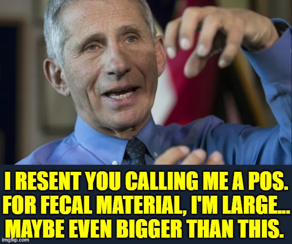 POS indicates just a piece, maybe tiny. I'm much more than a piece | I RESENT YOU CALLING ME A POS.
FOR FECAL MATERIAL, I'M LARGE...
MAYBE EVEN BIGGER THAN THIS. | image tagged in vince vance,poop,pos,feces,dr fauci,memes | made w/ Imgflip meme maker