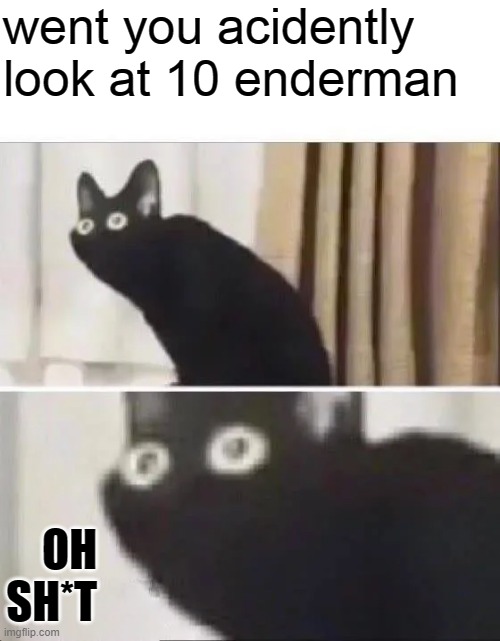 Oh No Black Cat | went you acidently look at 10 enderman; OH SH*T | image tagged in oh no black cat | made w/ Imgflip meme maker