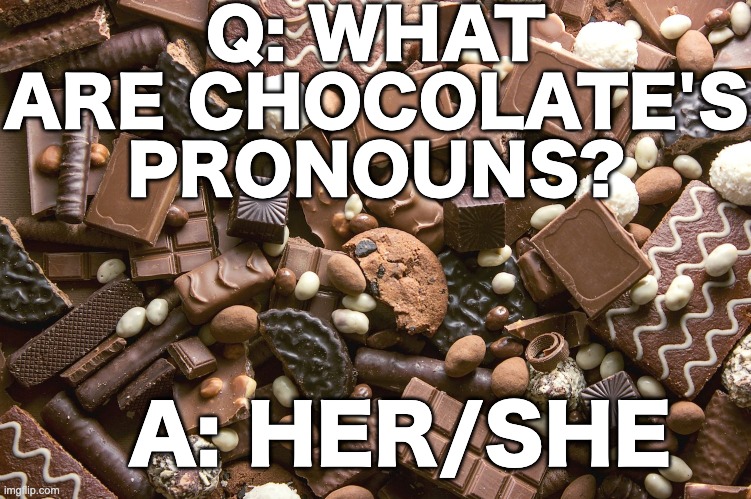 Incoming dad joke: | Q: WHAT ARE CHOCOLATE'S PRONOUNS? A: HER/SHE | image tagged in memes,unfunny | made w/ Imgflip meme maker